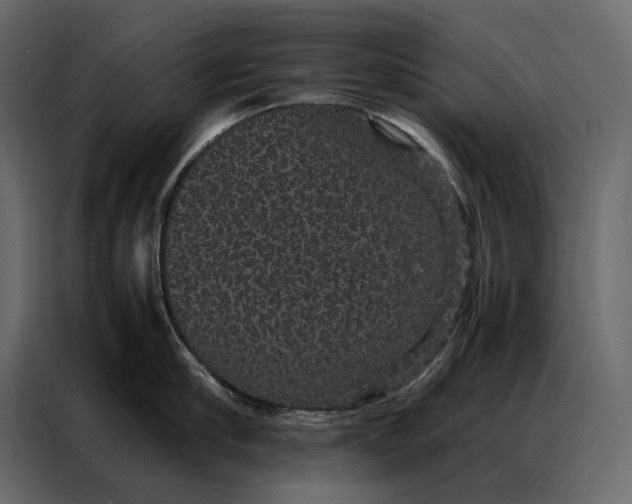 X0000086890910200705071220