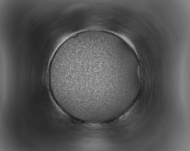 X0000086890911200705071220