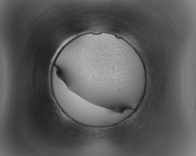 X0000086890912200705071220