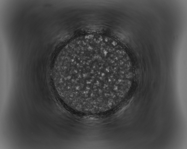 X0000086890913200705071219