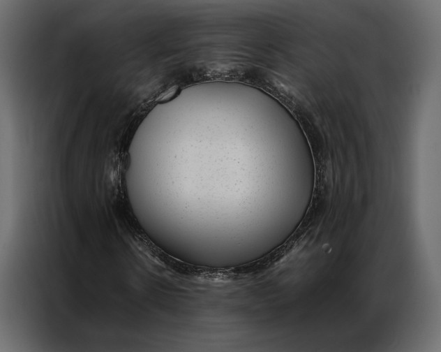 X0000086890914200705071219