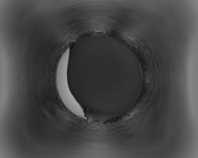 X0000086890916200705071220