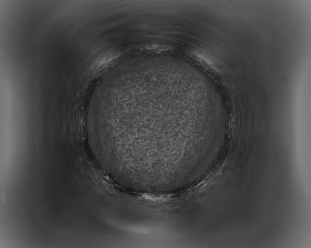 X0000086890917200705071220