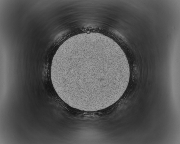 X0000086890918200705071220