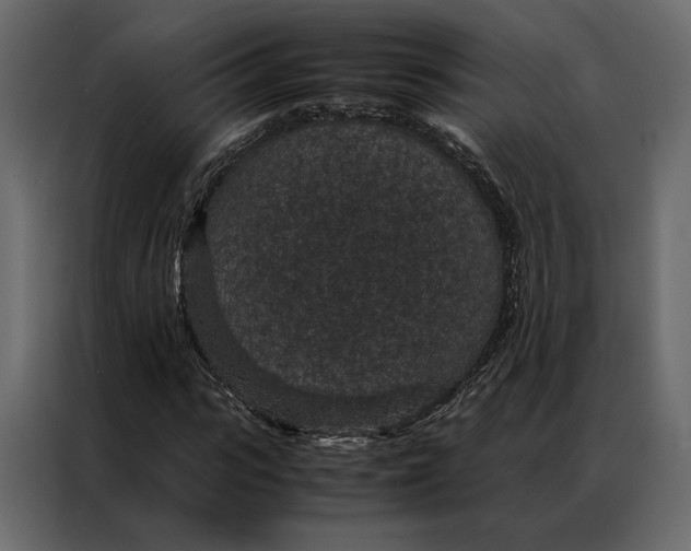 X0000086890919200705071220