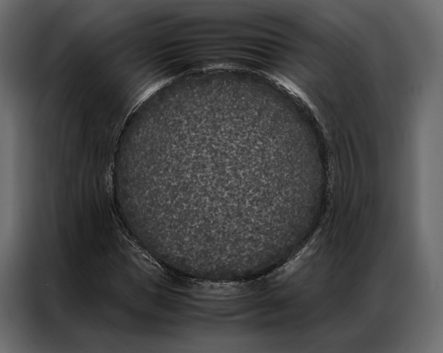 X0000086890921200705071220