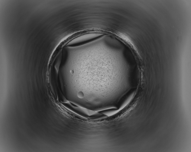 X0000086890924200705071220