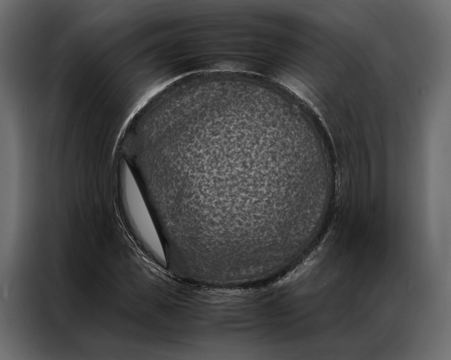 X0000086890925200705071220