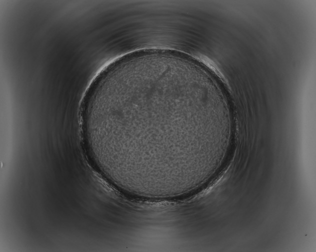 X0000086890926200705071220