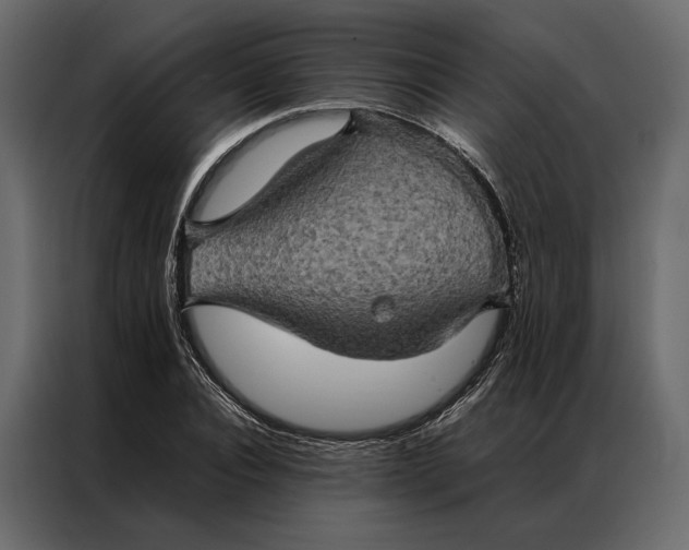 X0000086890928200705071220