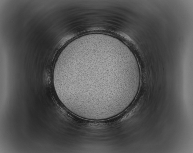 X0000086890929200705071220