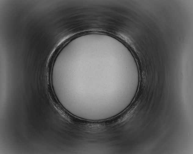 X0000086890931200705071220