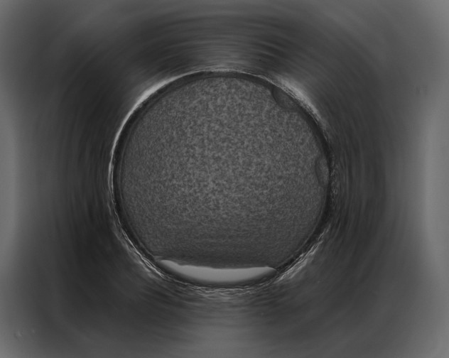 X0000086890932200705071220