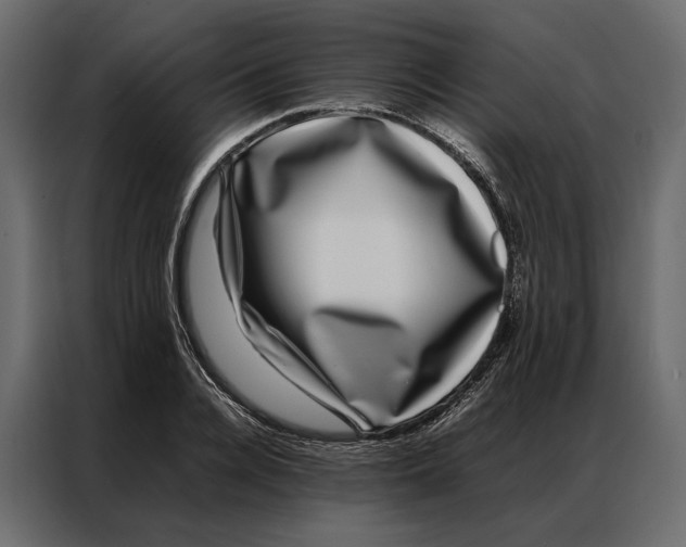 X0000086890936200705071220