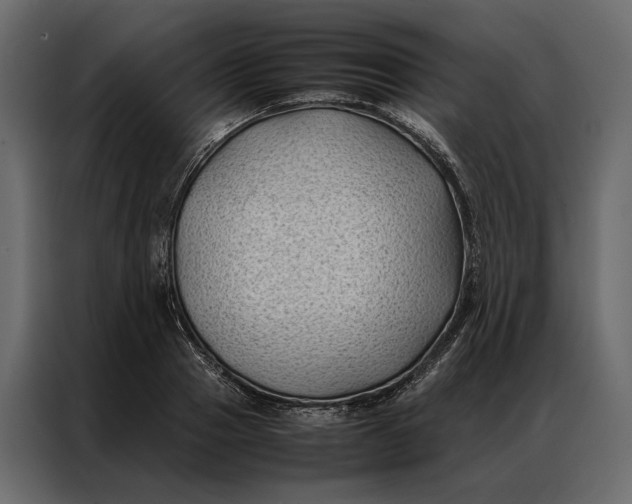 X0000086890937200705071220