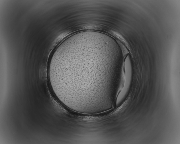 X0000086890938200705071220