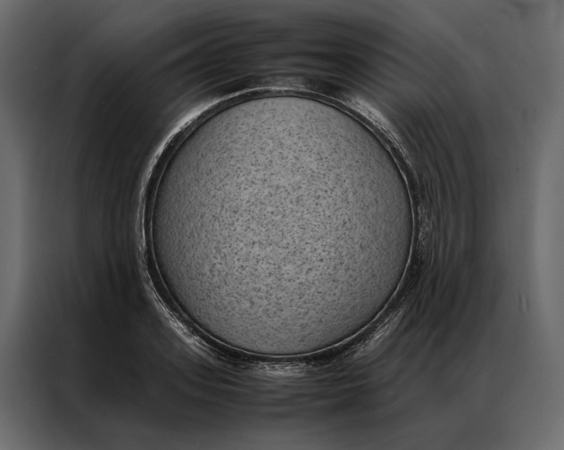 X0000086890939200705071220