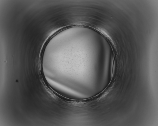 X0000086890940200705071220