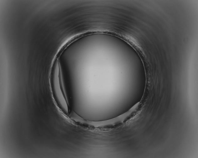 X0000086890942200705071220