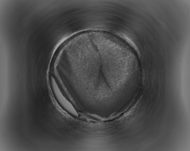 X0000086890944200705071220