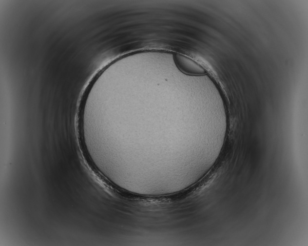 X0000086890947200705071220