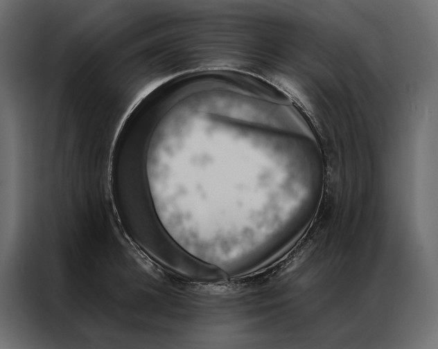 X0000086890948200705071220