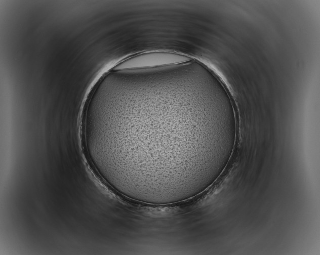 X0000086890949200705071220