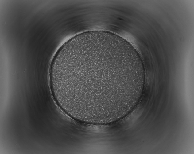 X0000086890950200705071220