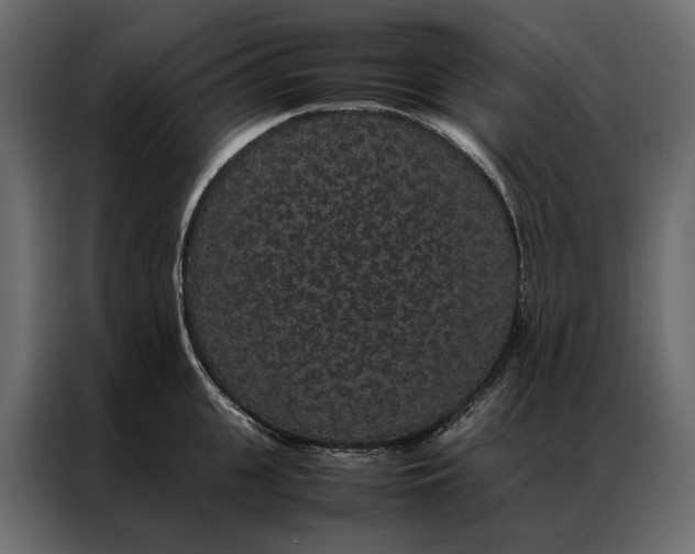 X0000086890951200705071220