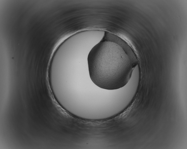 X0000086890952200705071220