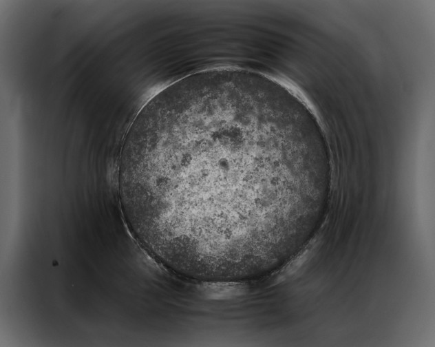 X0000086890953200705071220