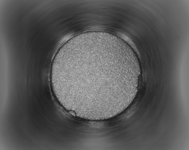 X0000086890954200705071220