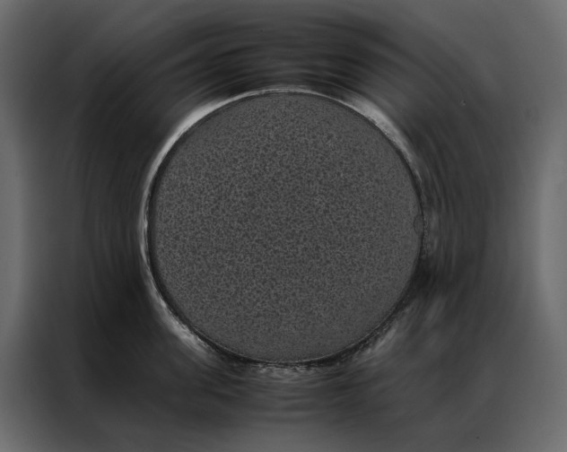 X0000086890955200705071220