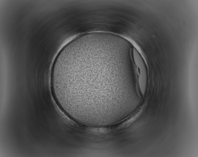 X0000086890957200705071220