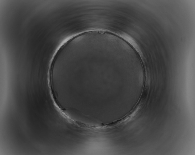 X0000086890958200705071220