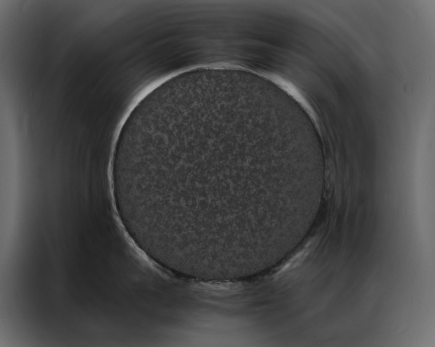 X0000086890959200705071220