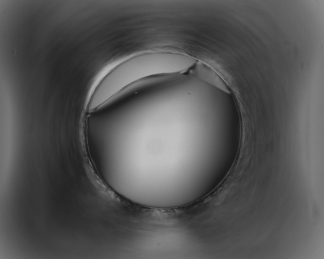 X0000086890960200705071220