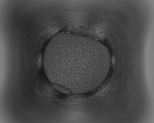 X0000086890963200705071219