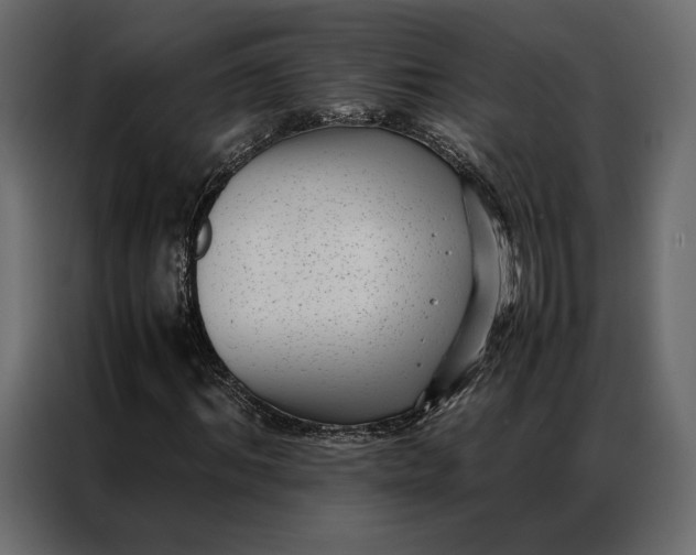 X0000086890964200705071219