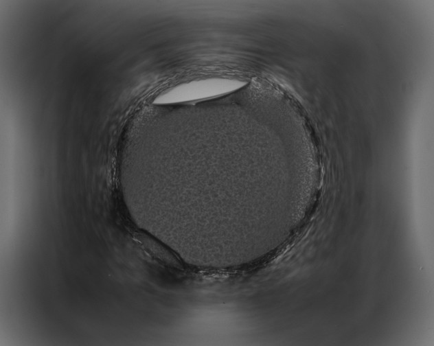 X0000086890965200705071219