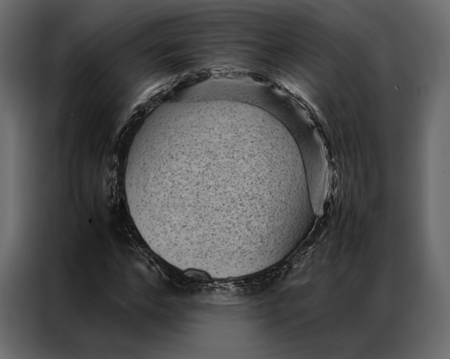 X0000086890968200705071219