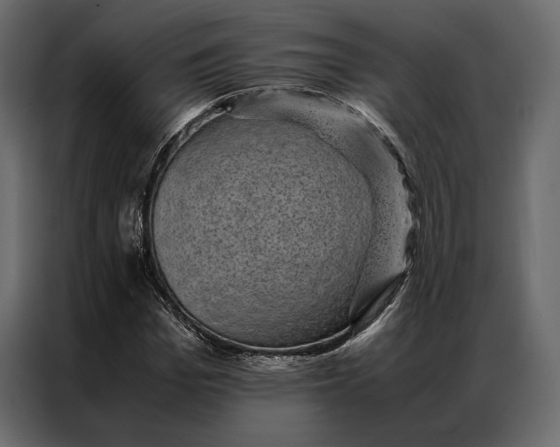 X0000086890969200705071219