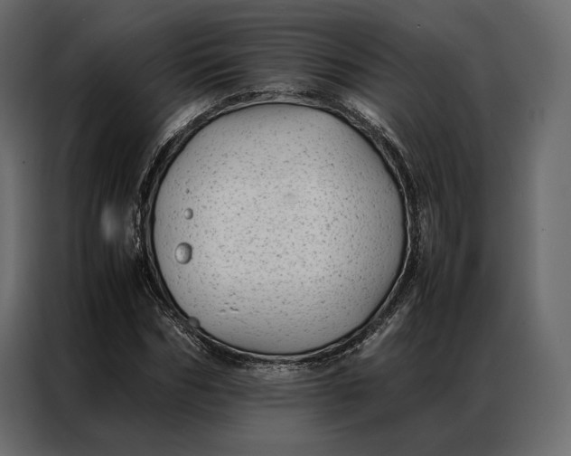 X0000086890970200705071219