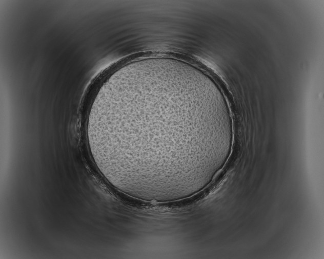 X0000086890971200705071219