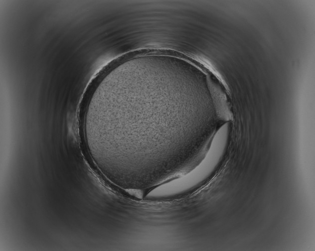 X0000086890972200705071219