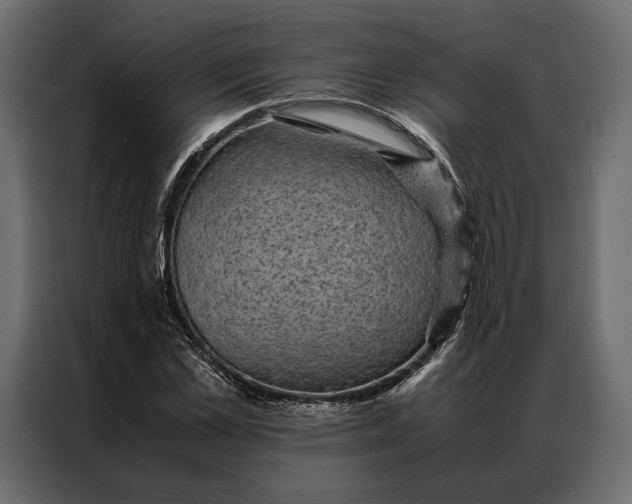 X0000086890973200705071219