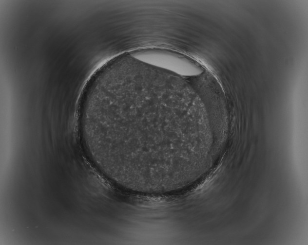 X0000086890975200705071219