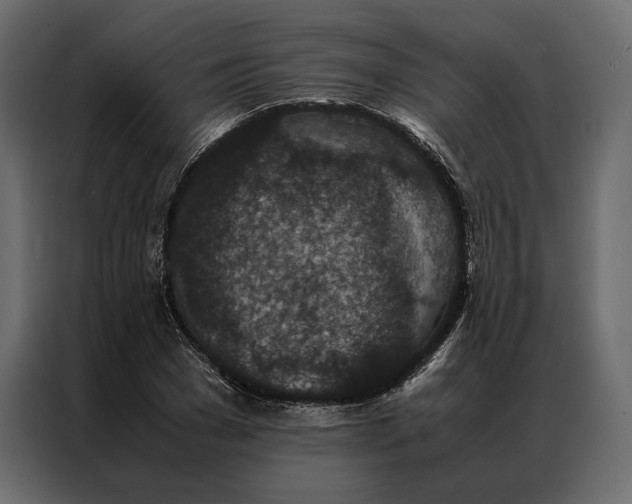 X0000086890977200705071219