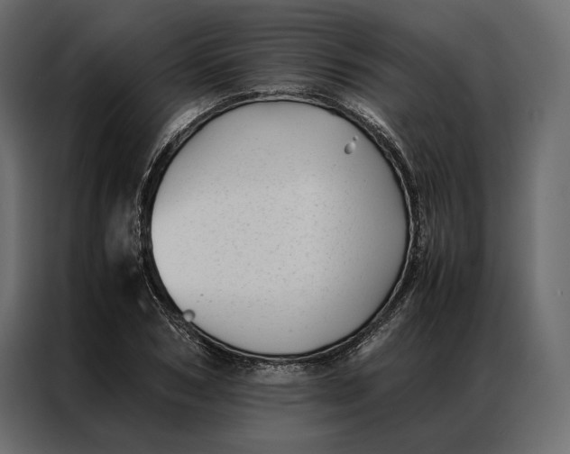 X0000086890978200705071219