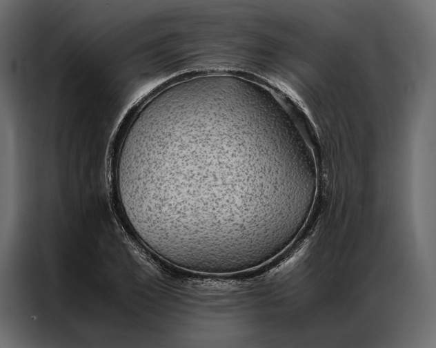 X0000086890981200705071219